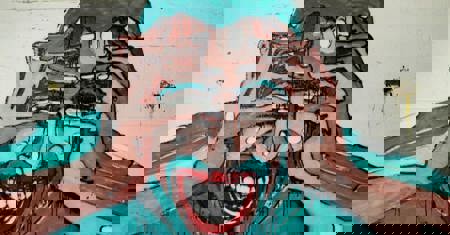 Webinar cognitive functional therapy